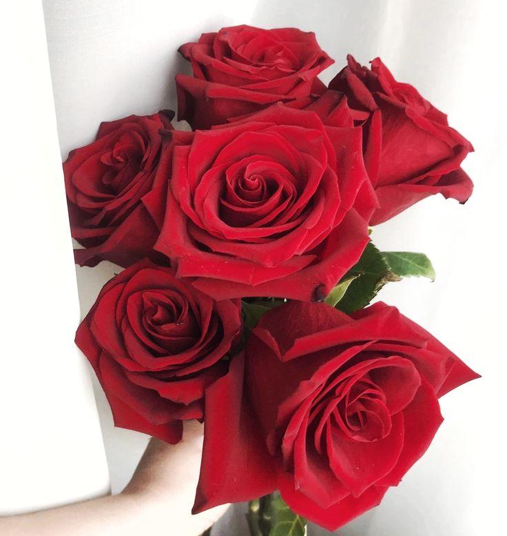 Eternal Elegance: Timeless Blossoms Collection